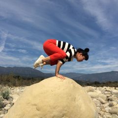 More information about "Crow on a Rock"