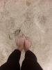 post-12299-0-68707100-1342317964_thumb.jpg