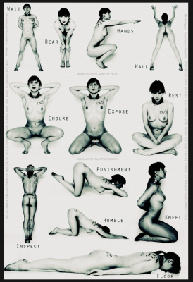 Submissive_positions_large.png.d2d7110c64f7cb20584131a233652794.png