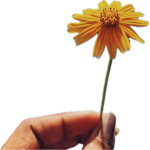 image.png.df1bf1767fca1cad5a8a5af248be3da2.png