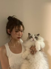 Mean kitty X2