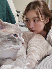 Two cats 🐈