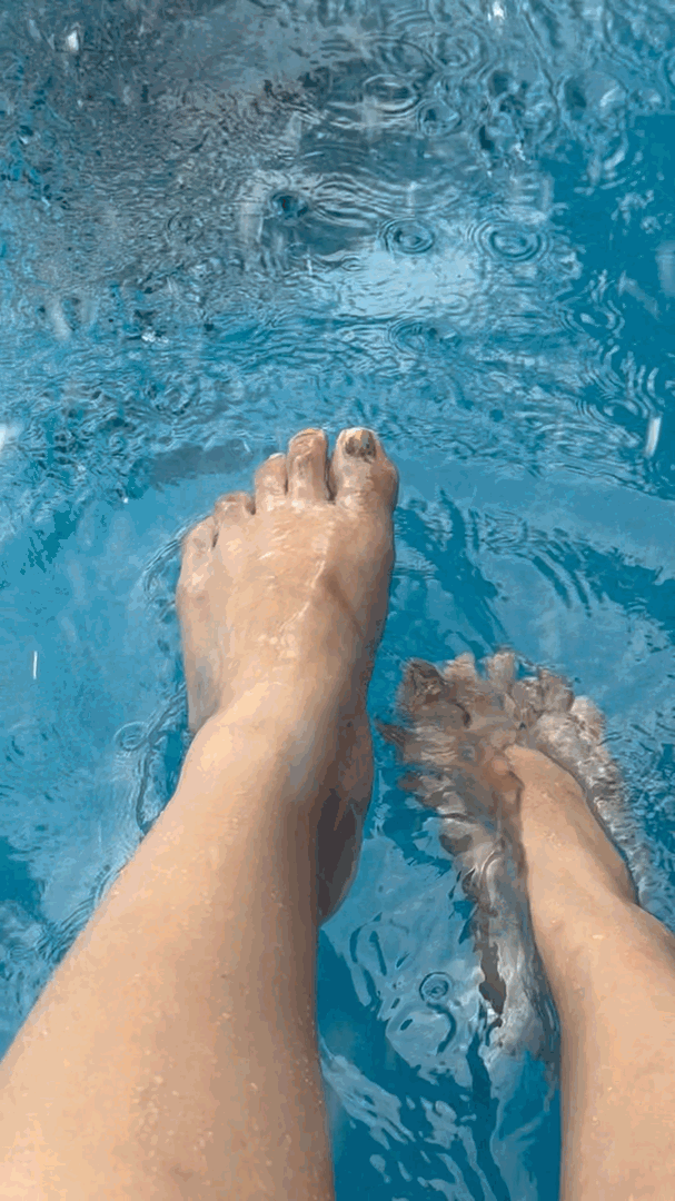 Water is Wet
